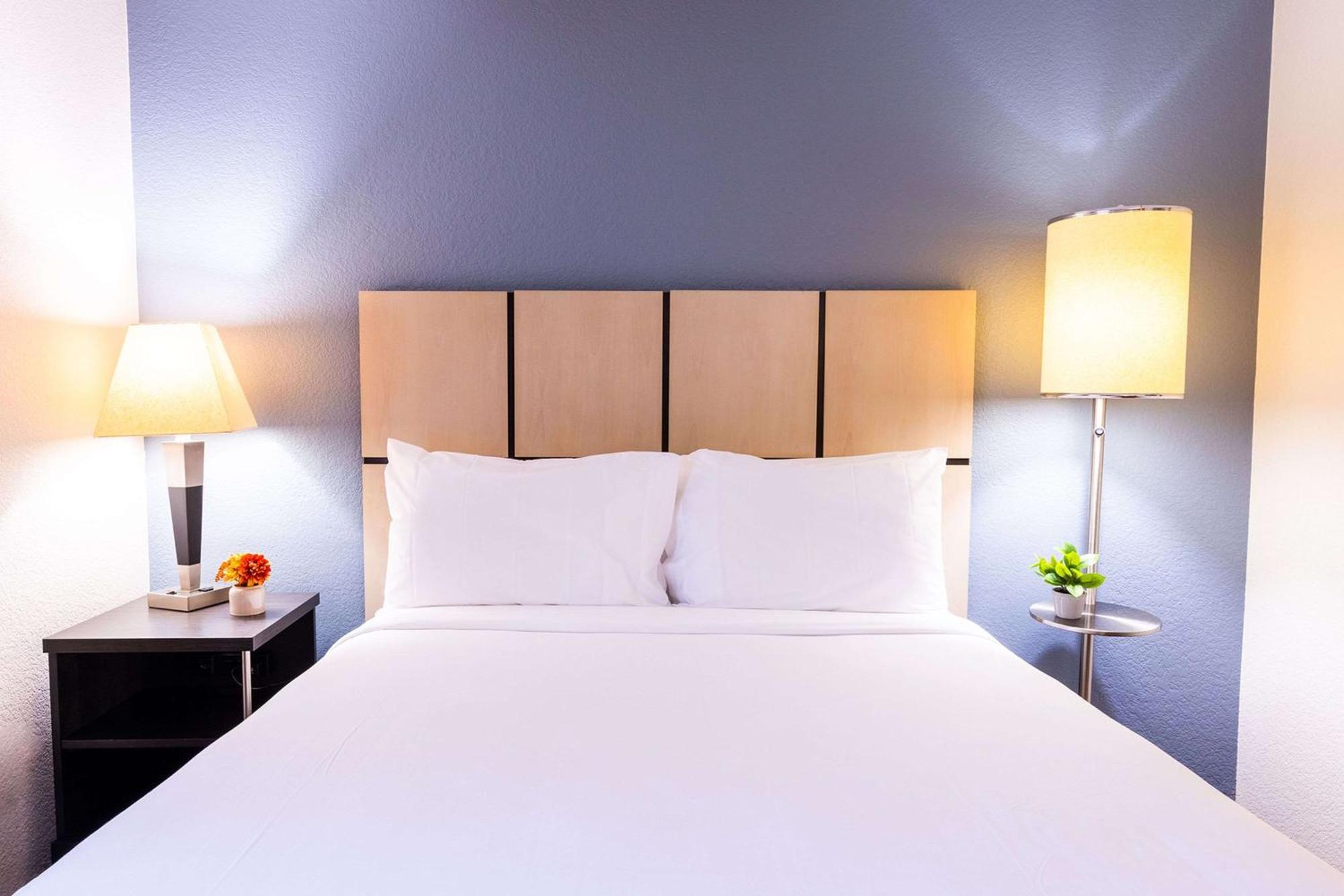 Sonesta Simply Suites Clearwater Luaran gambar